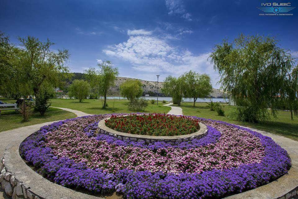 Apartments Boric Лопар Экстерьер фото